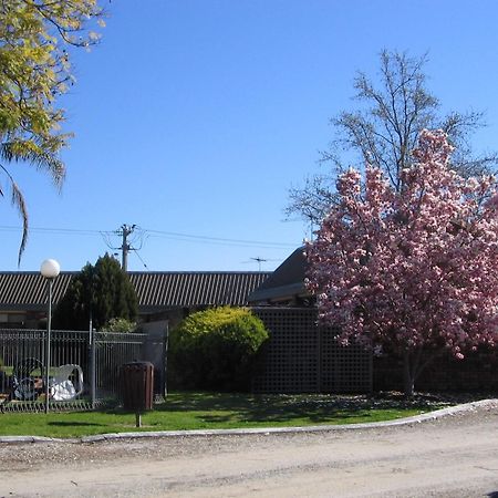 Belvoir Village Motel & Apartments Wodonga Ngoại thất bức ảnh