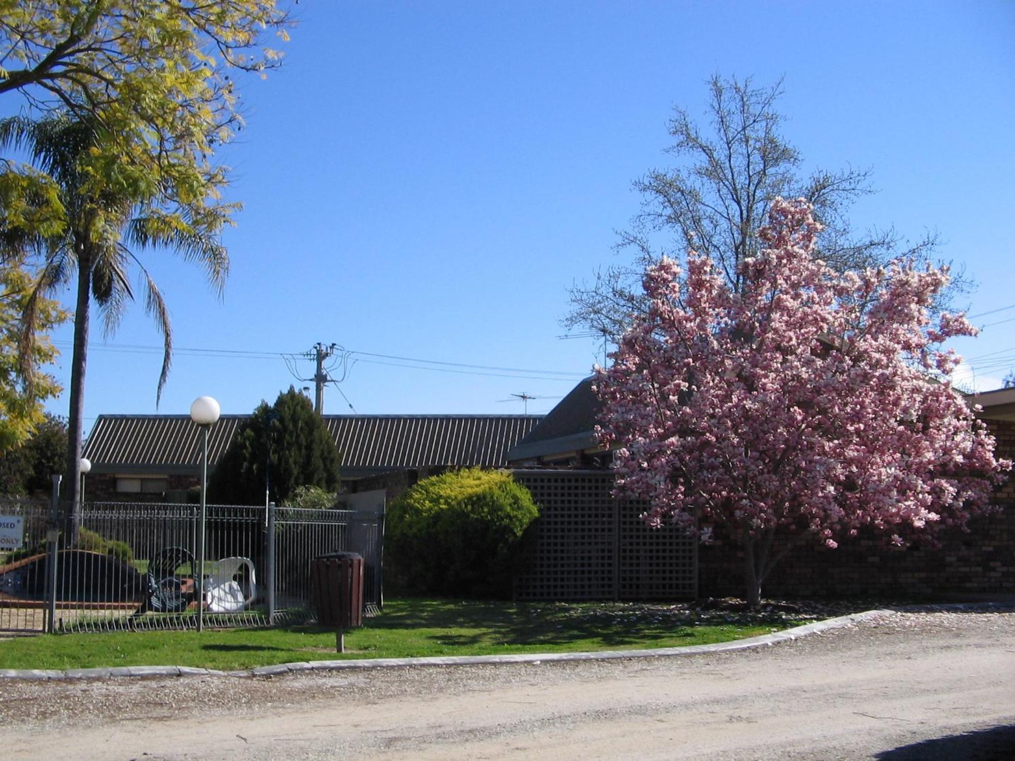 Belvoir Village Motel & Apartments Wodonga Ngoại thất bức ảnh