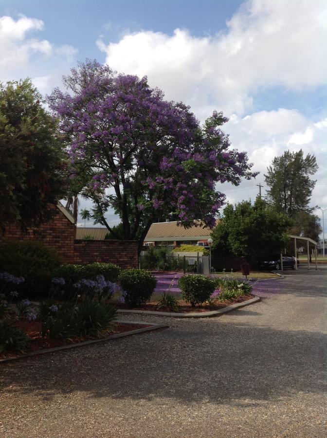 Belvoir Village Motel & Apartments Wodonga Ngoại thất bức ảnh