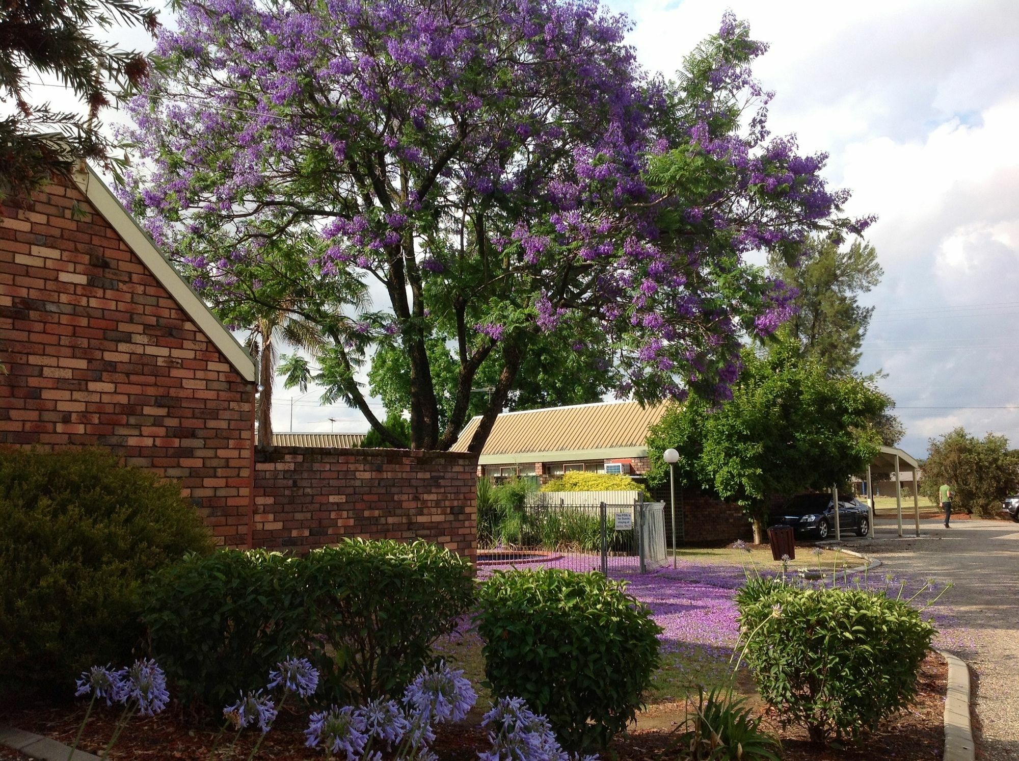 Belvoir Village Motel & Apartments Wodonga Ngoại thất bức ảnh